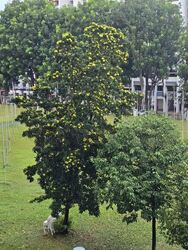 Blk 675B Fern Grove @ Yishun (Yishun), HDB 3 Rooms #639562861